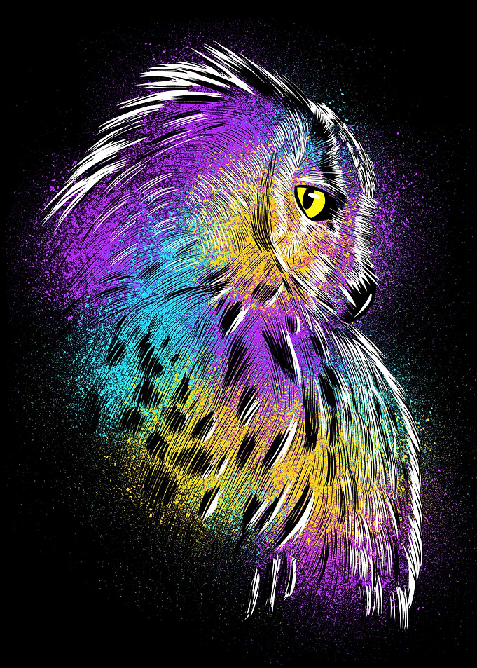Sketch Owl Colors