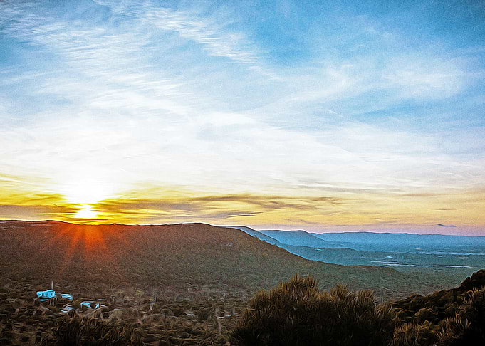 Sunset on the olive trees