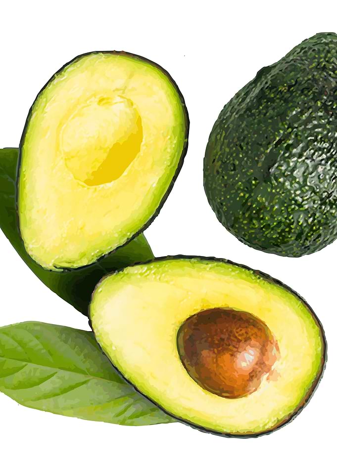Avocado