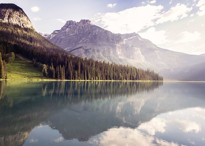 Reflected