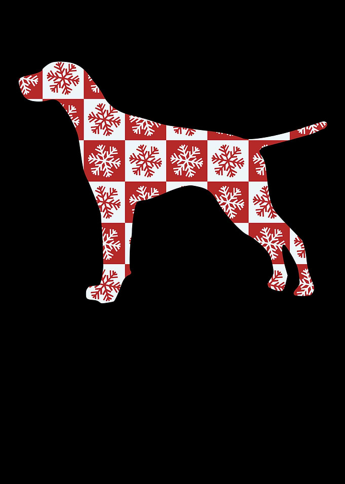 German Shorthair Pointer