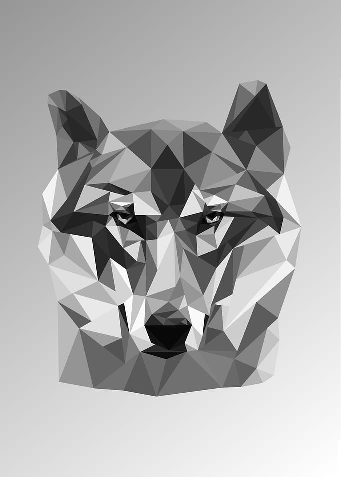 Grey Wolf Low Poly