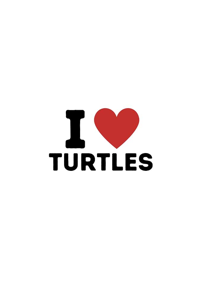 I Love Turtles Simple