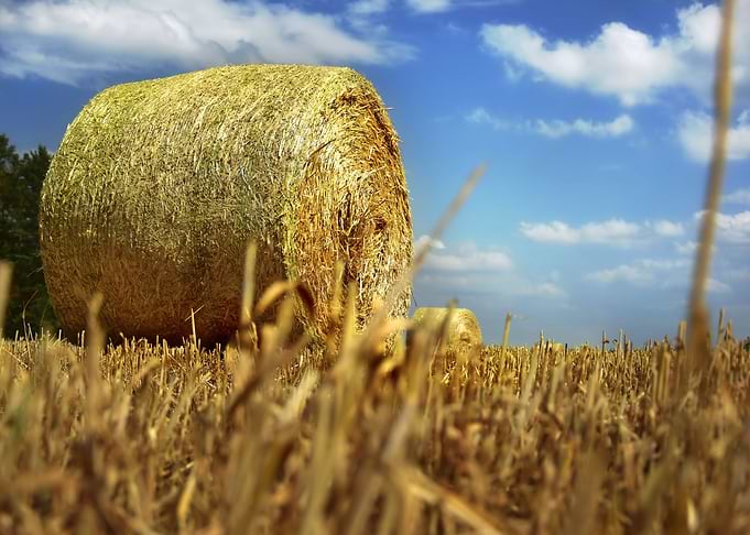 Straw Bales Field Meadow