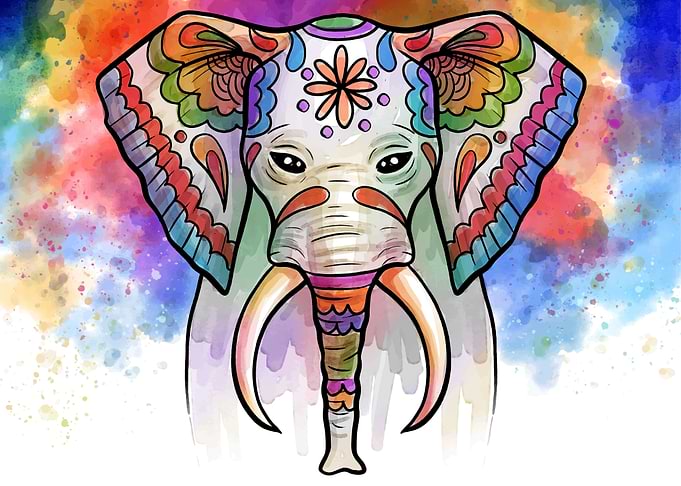elephant