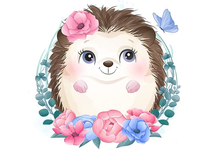 Cute little hedgehog Cute