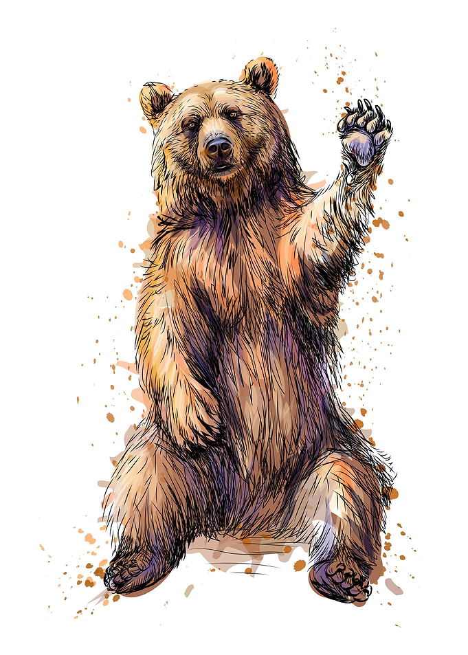 Bear