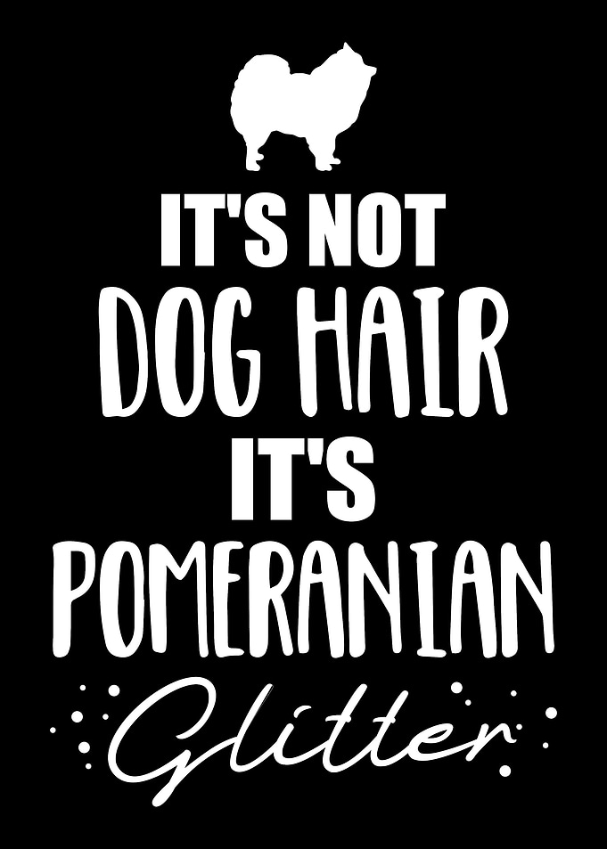 Pomeranian