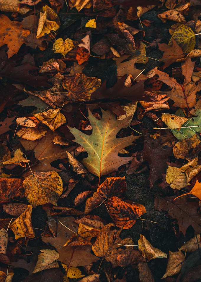 Fall Time