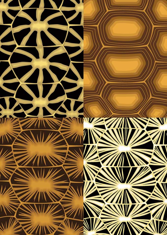 tortoise shell