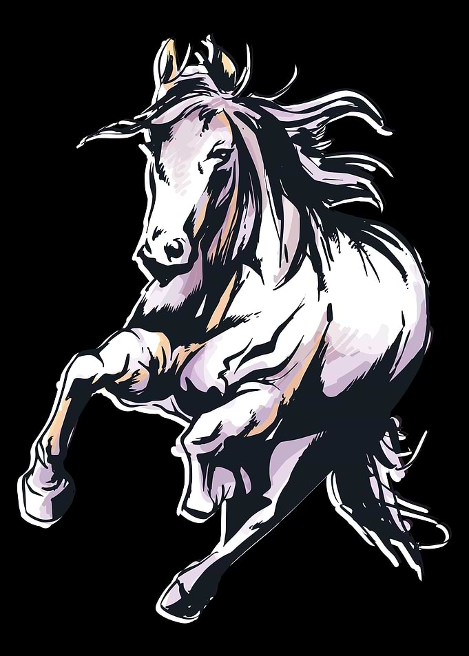Horse gift