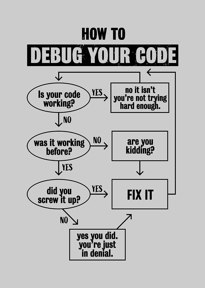 Programming Debug Code