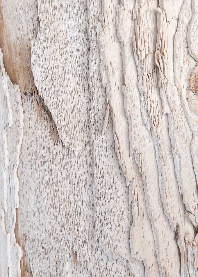 Wood Texture 1