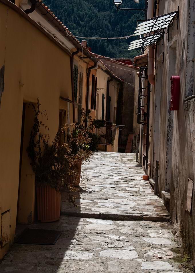 Sunshine Alley