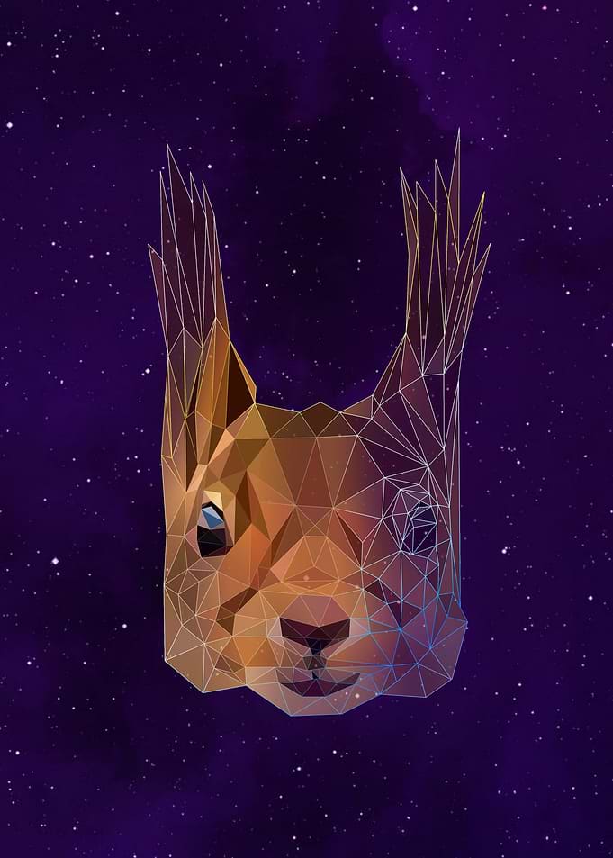 squirrel on modern art low