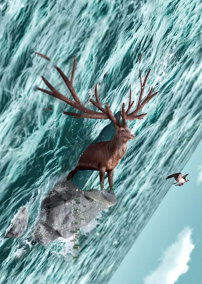 What the Buck