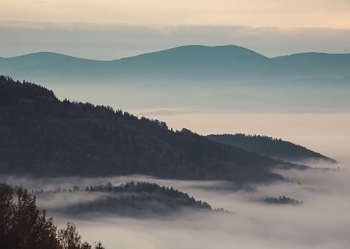 Foggy morning