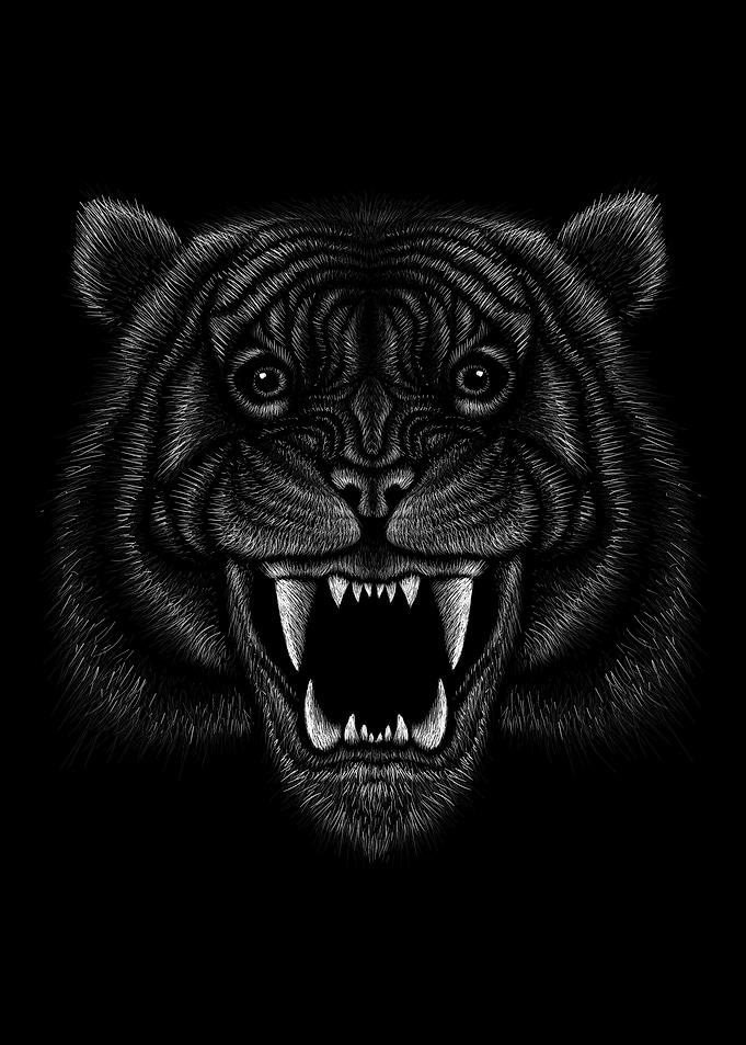 Tiger pencil