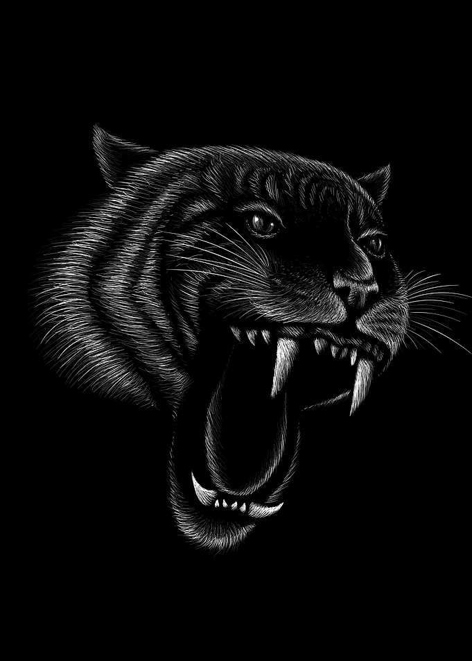 Tiger pencil
