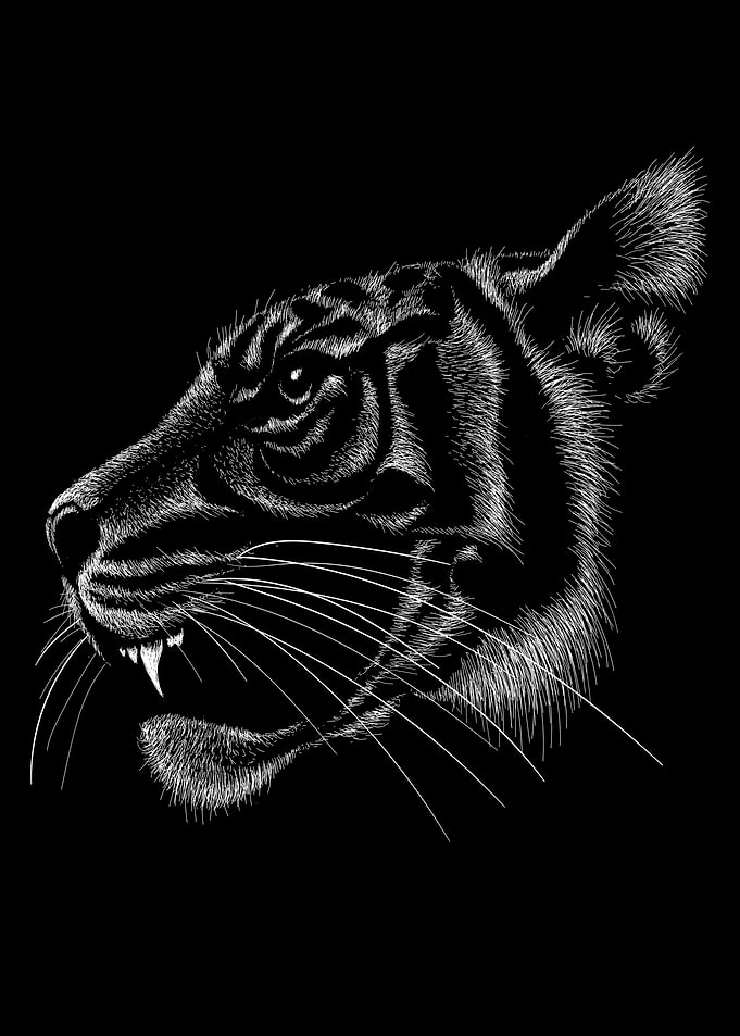 Tiger pencil