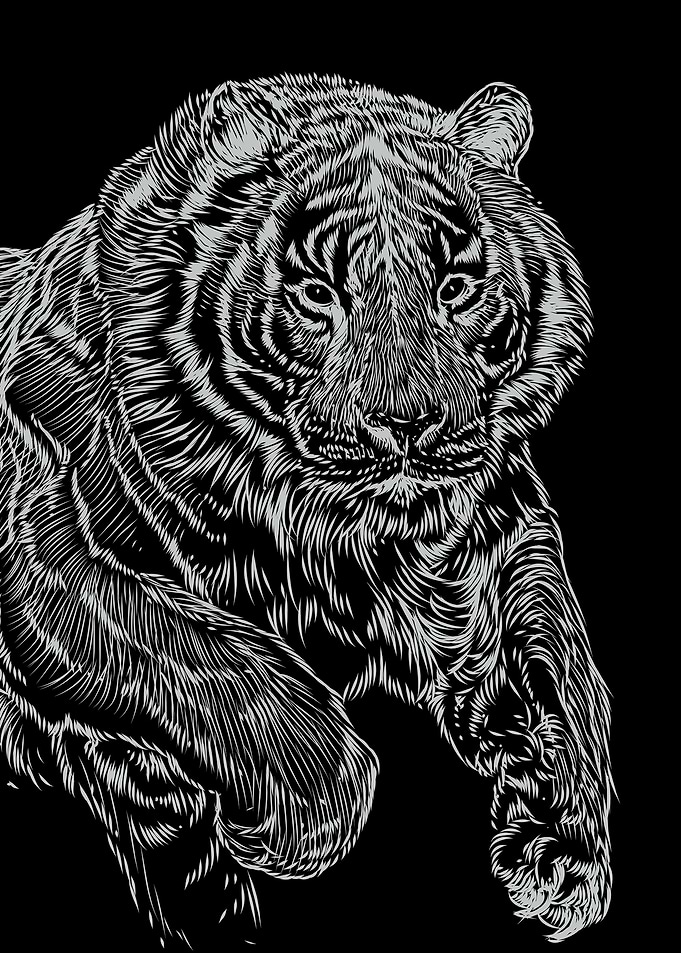 Tiger pencil