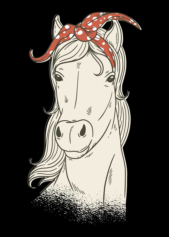 Horses hair gift