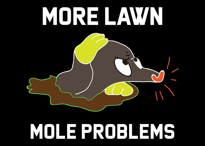 Mole Cute Moles Garden