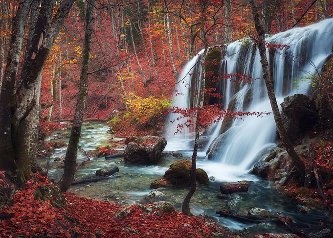 Autumn 2