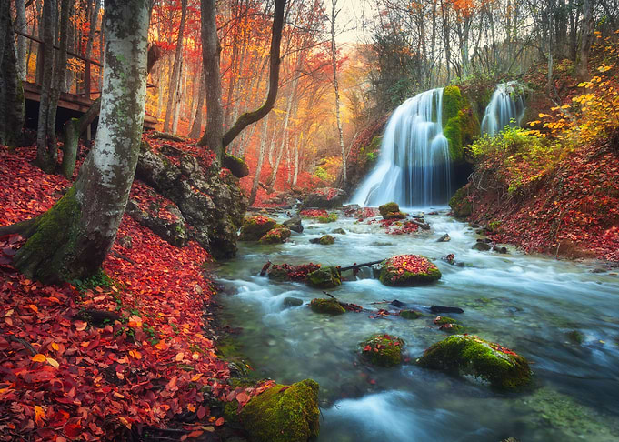 Autumn forest waterfall