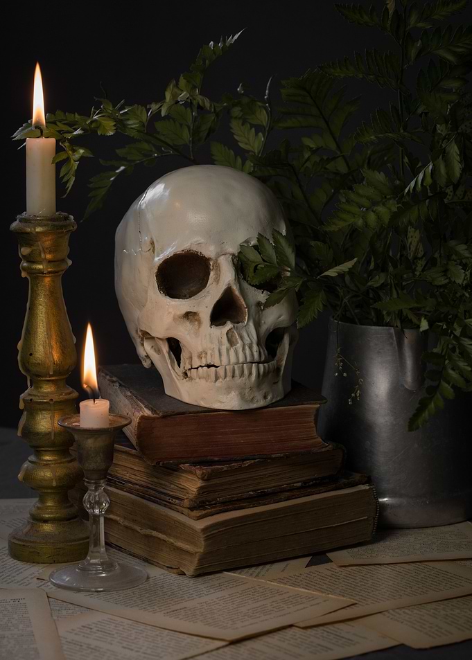 Skull Still life