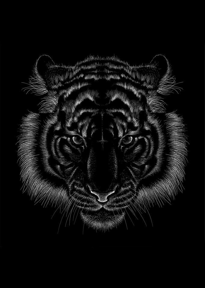 Tiger pencil