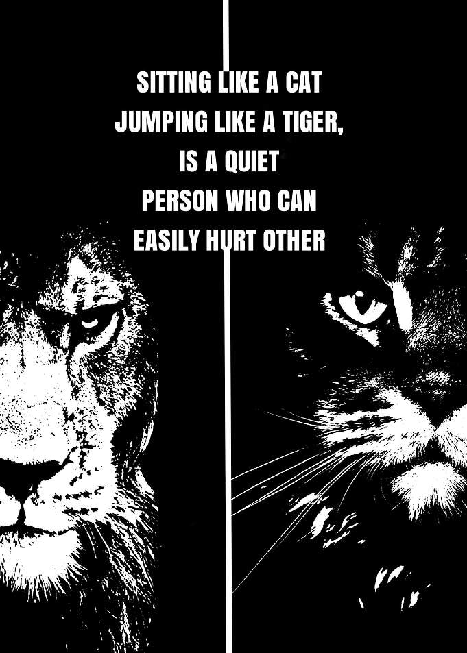 the cat and tiger