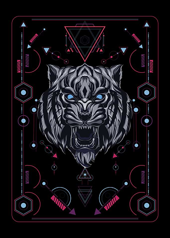 Tiger geometry