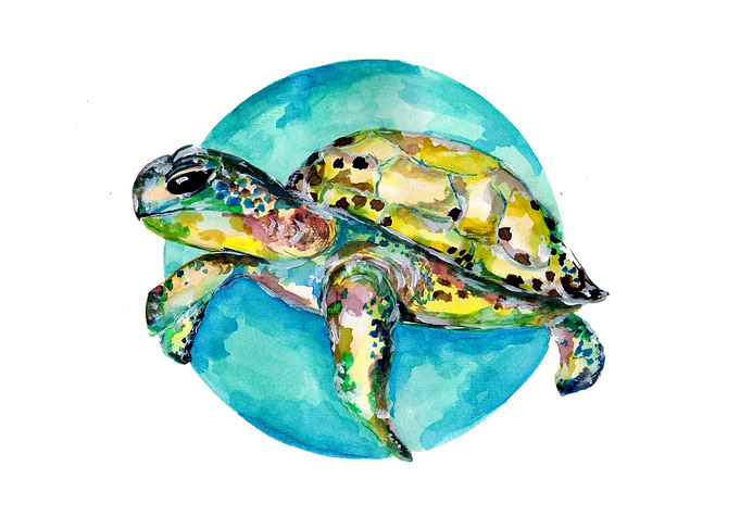 Sea Turtle Blue Circle