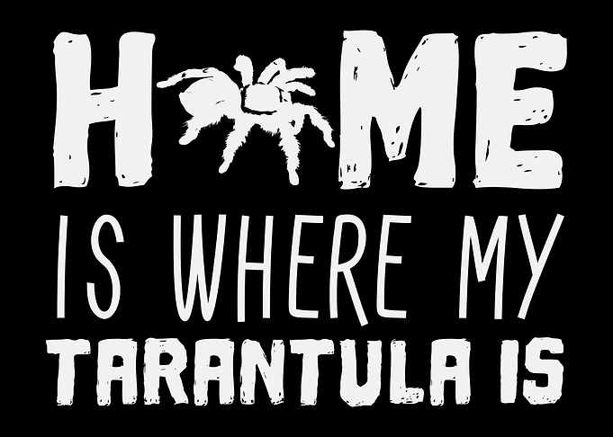 Tarantula Home Saying
