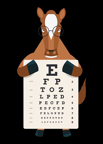 Glasses horse gift