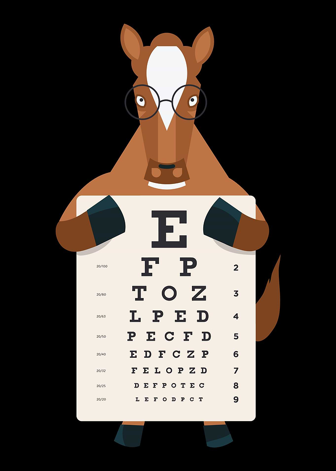 Glasses horse gift