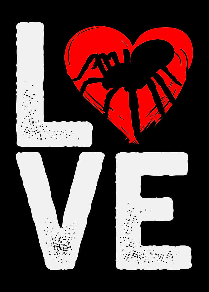 Tarantula Love Heart