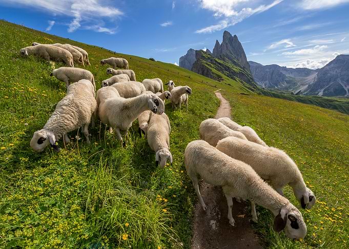 Dolomites 39 Italy