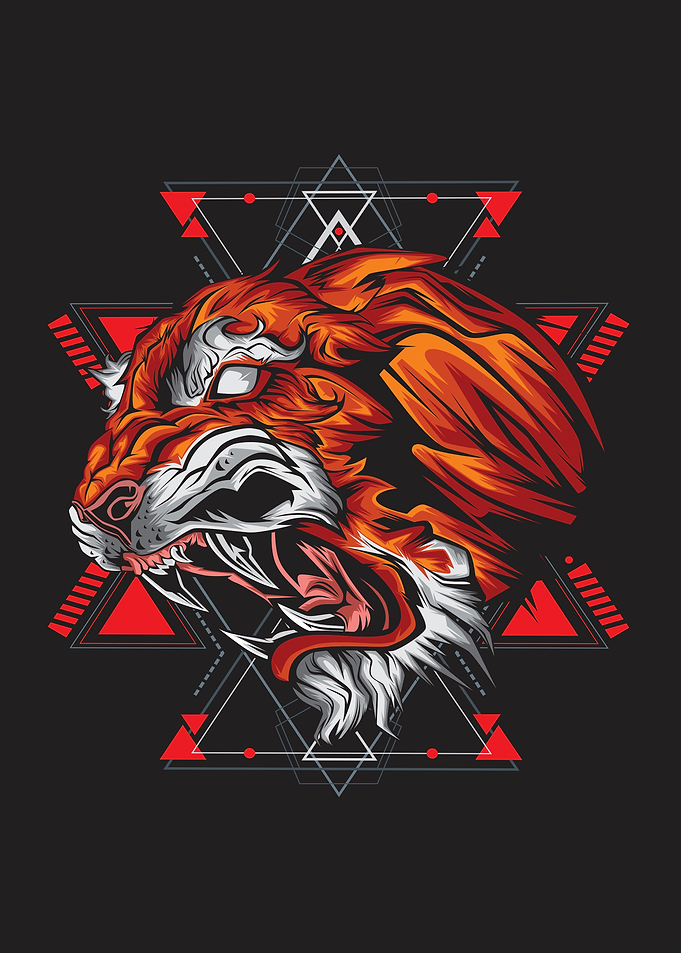 Tiger geometry