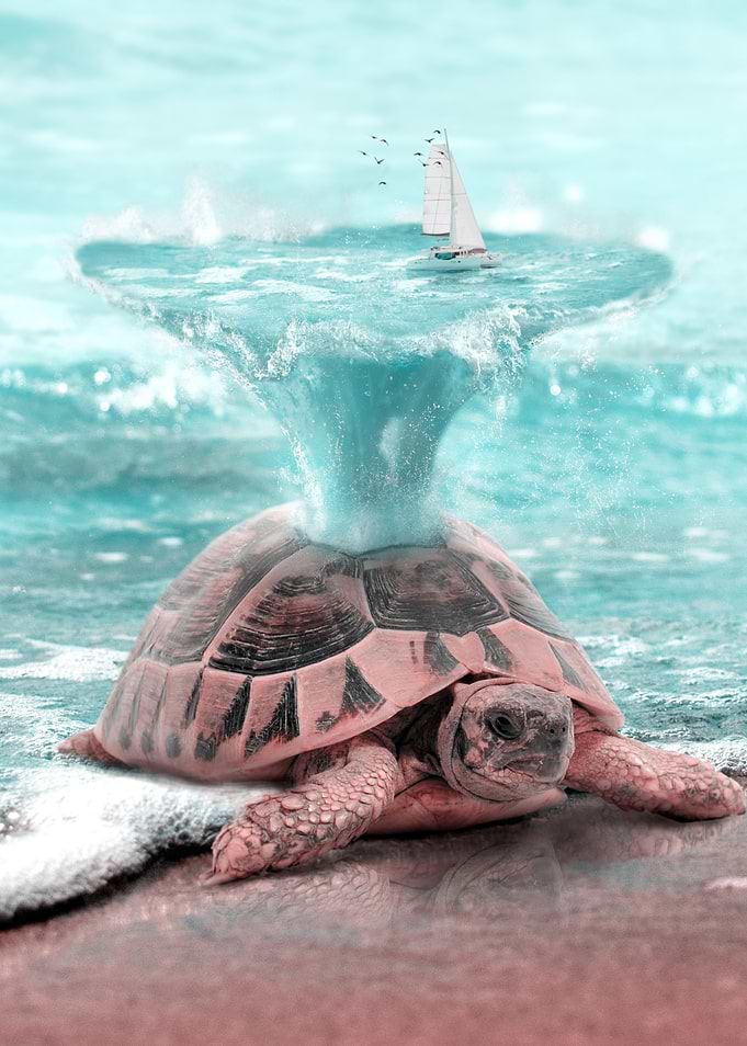 Unleash your Imagination