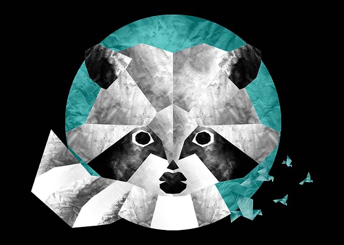 Raccoongami
