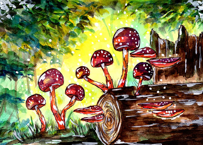Red Mushrooms in Forest
