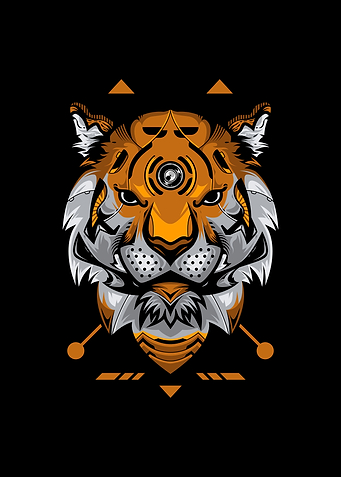 Tiger geometry
