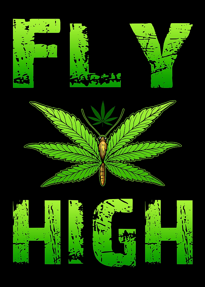 Cannabis Weed Marihuana