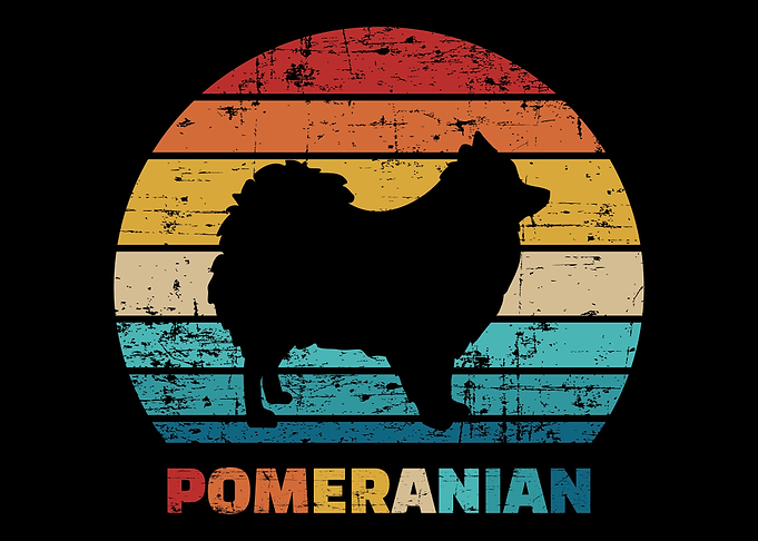 Pomeranian