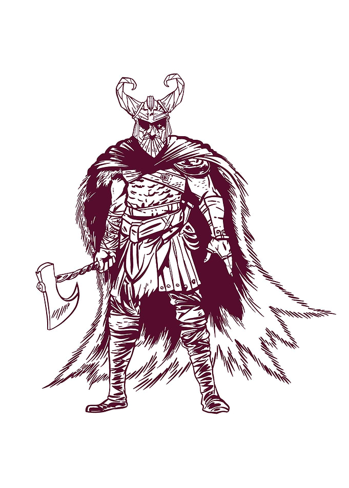 Odin Viking