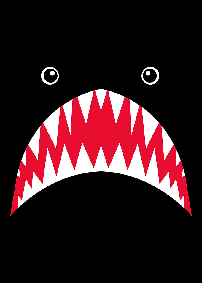 Cute Shark