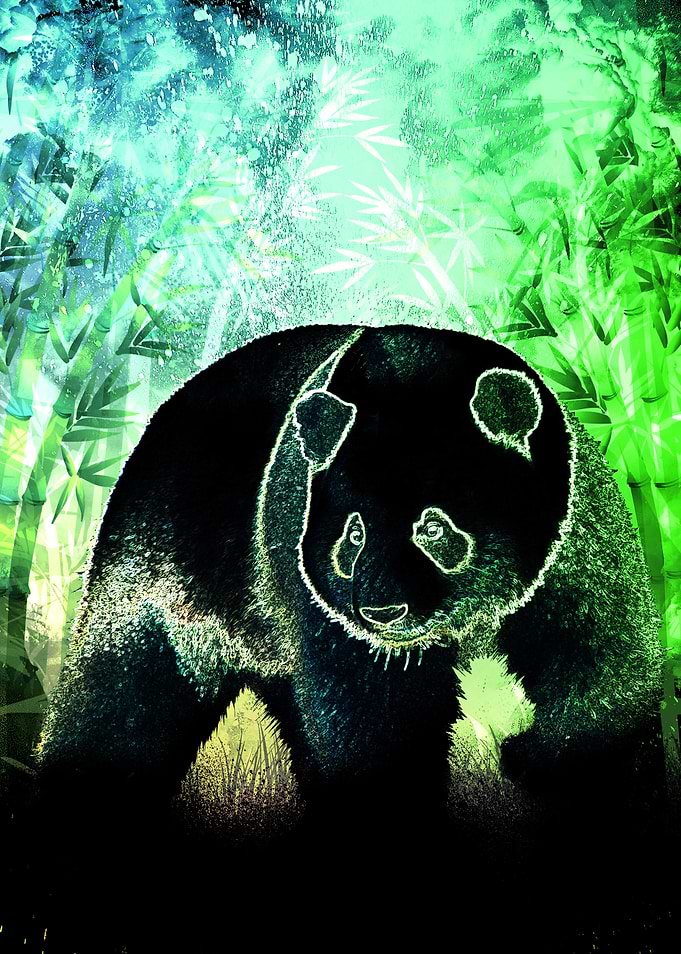 Soul of the Panda Bear