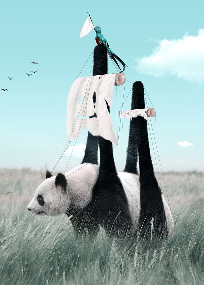 Endangered